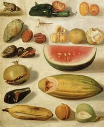 Stillleben mit Früchten (mit Skorpion und Frosch)